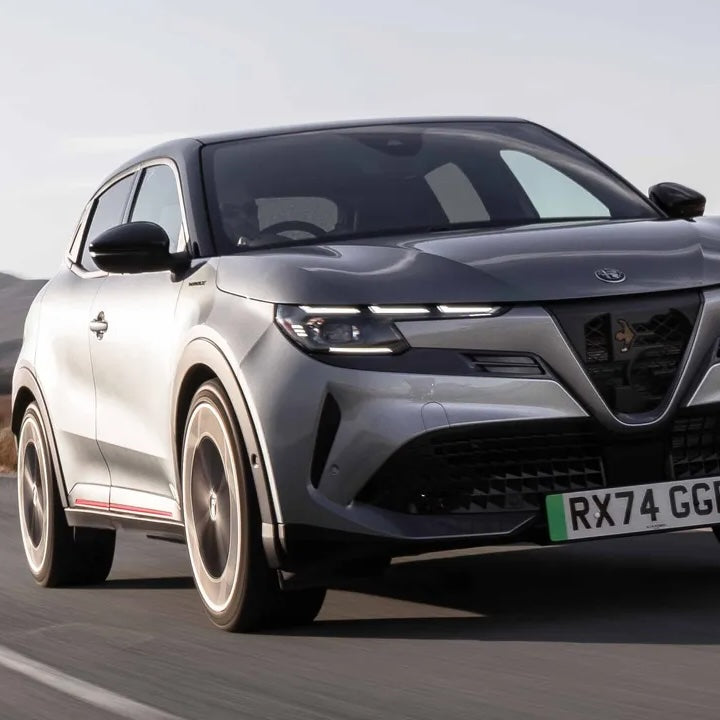 Alfa Romeo Junior Ski Rack/Carrier