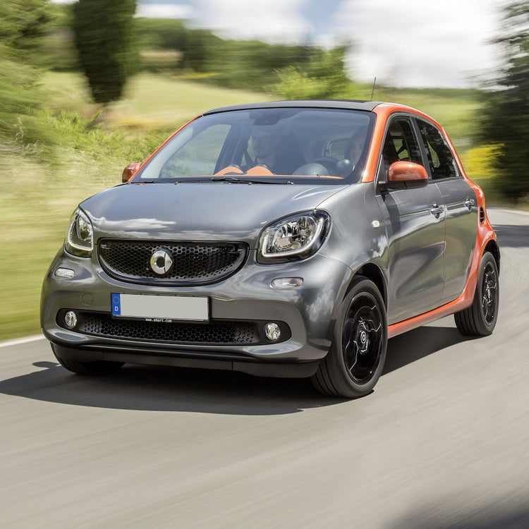 Smart Forfour Fahrradträger