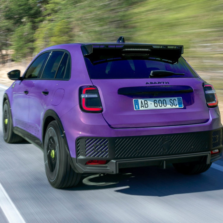 Abarth 600e Fahrradträger/Fahrradgepäckträger