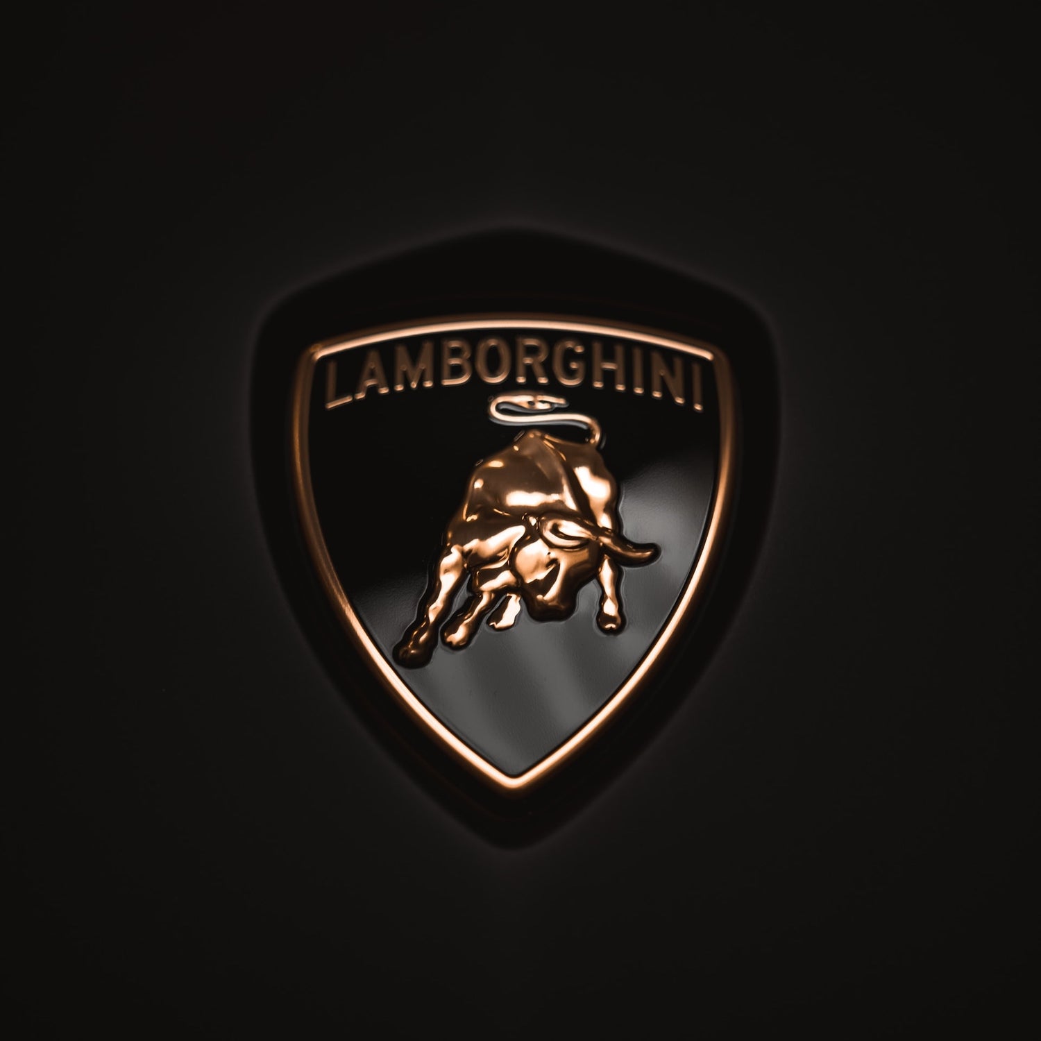 Lamborghini Revuelto Fahrradträger/Fahrradträger