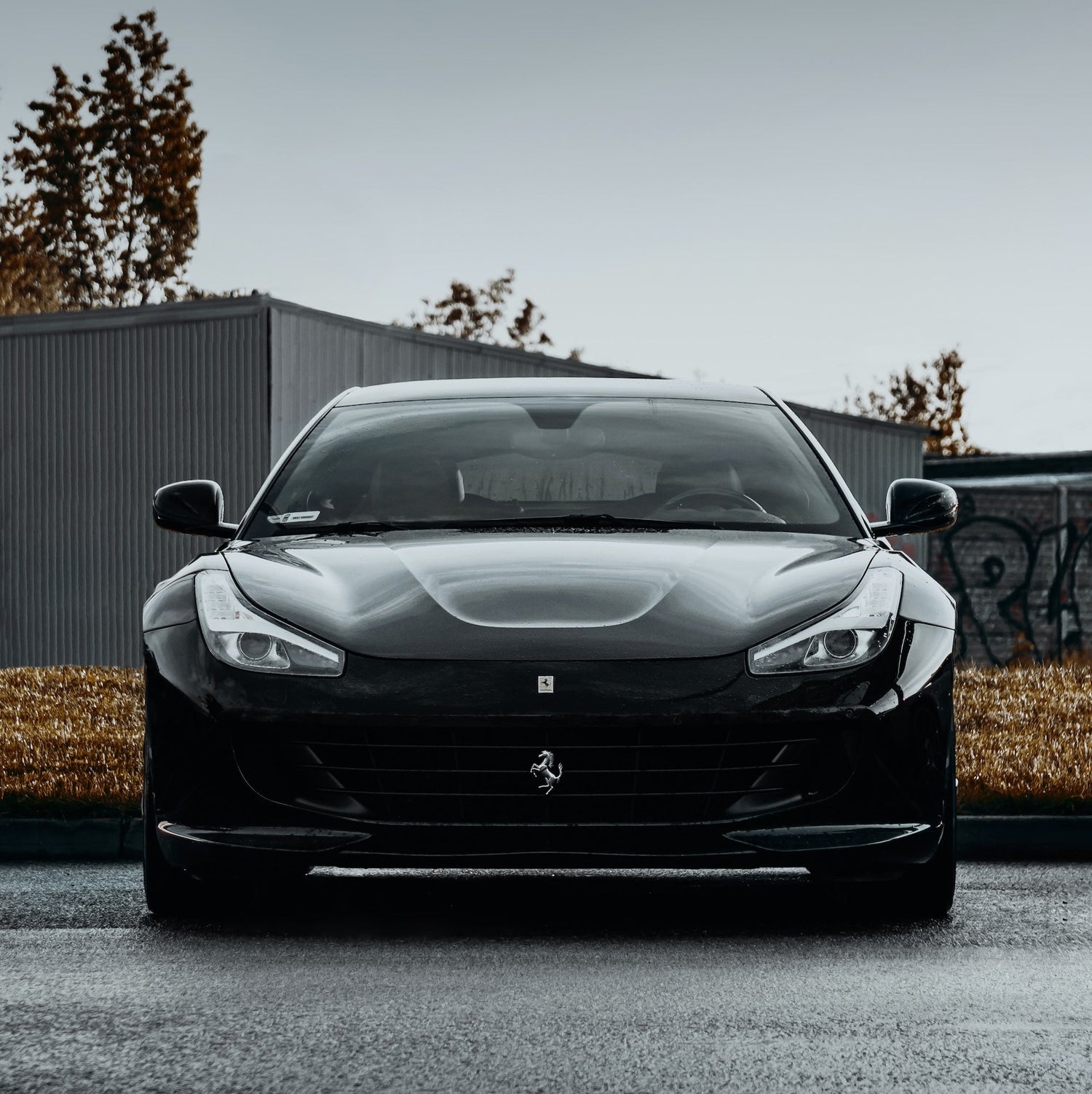 Ferrari GTC4Lusso Skiträger/-halterung