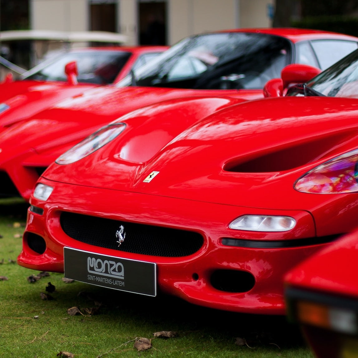 Ferrari F50 Ski Rack/Carrier