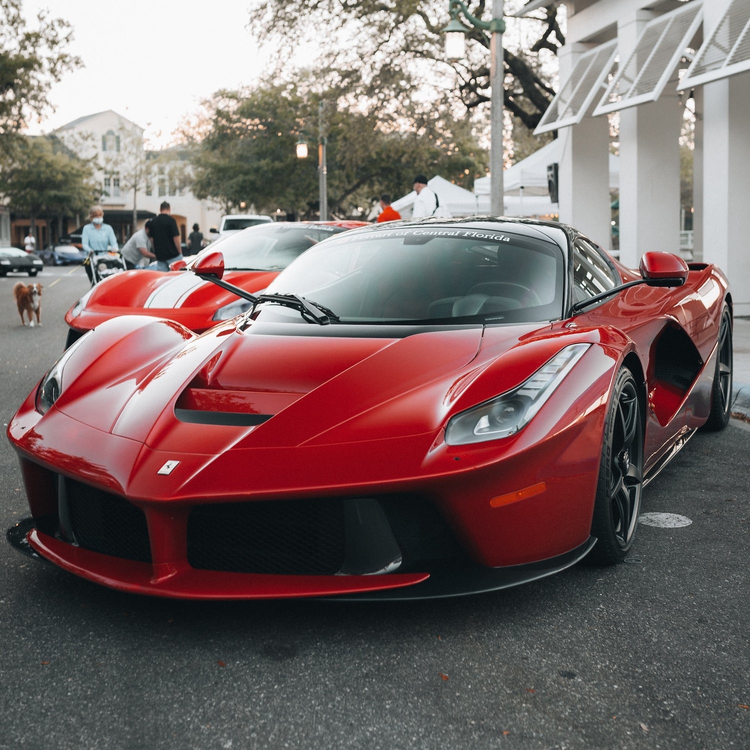 Ferrari La Ferrari Fahrradträger/Fahrradgepäckträger