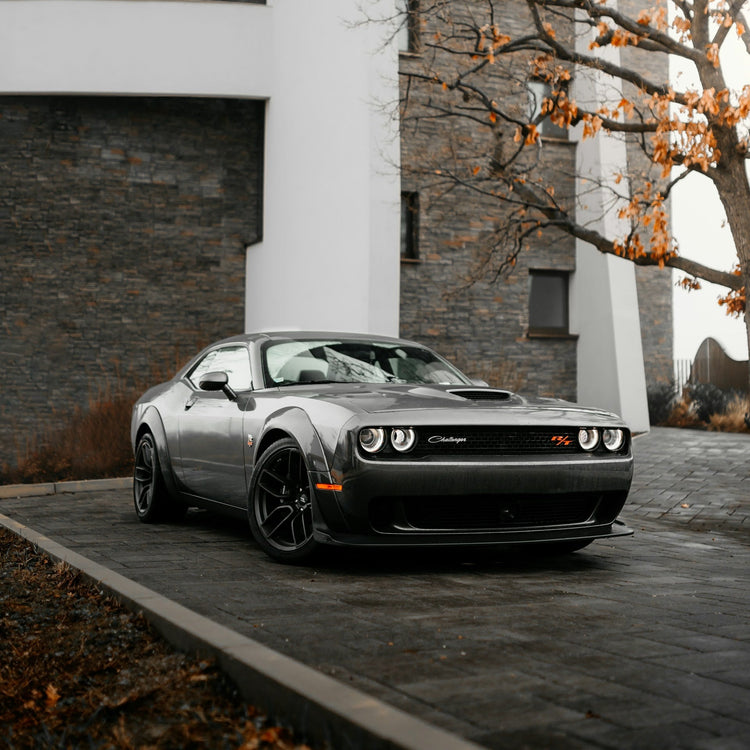 Dodge Challenger Skiträger/-Gepäckträger