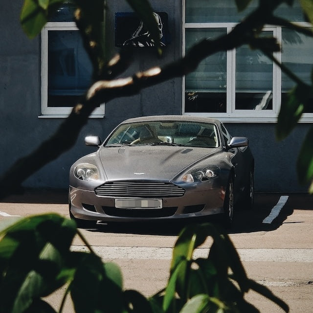 Aston Martin DB9 Ski Rack/Carrier