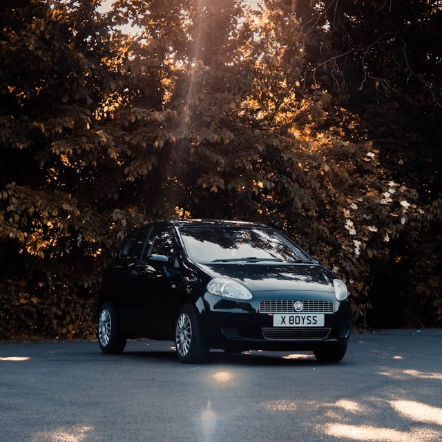 Fiat Punto Skiträger/-halterung