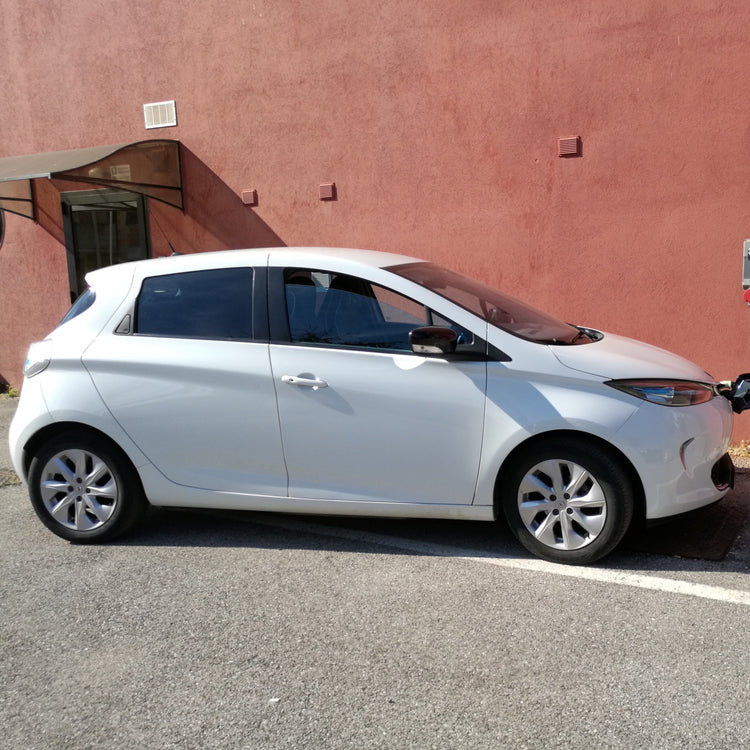 Renault Zoe Skiträger/-halterung