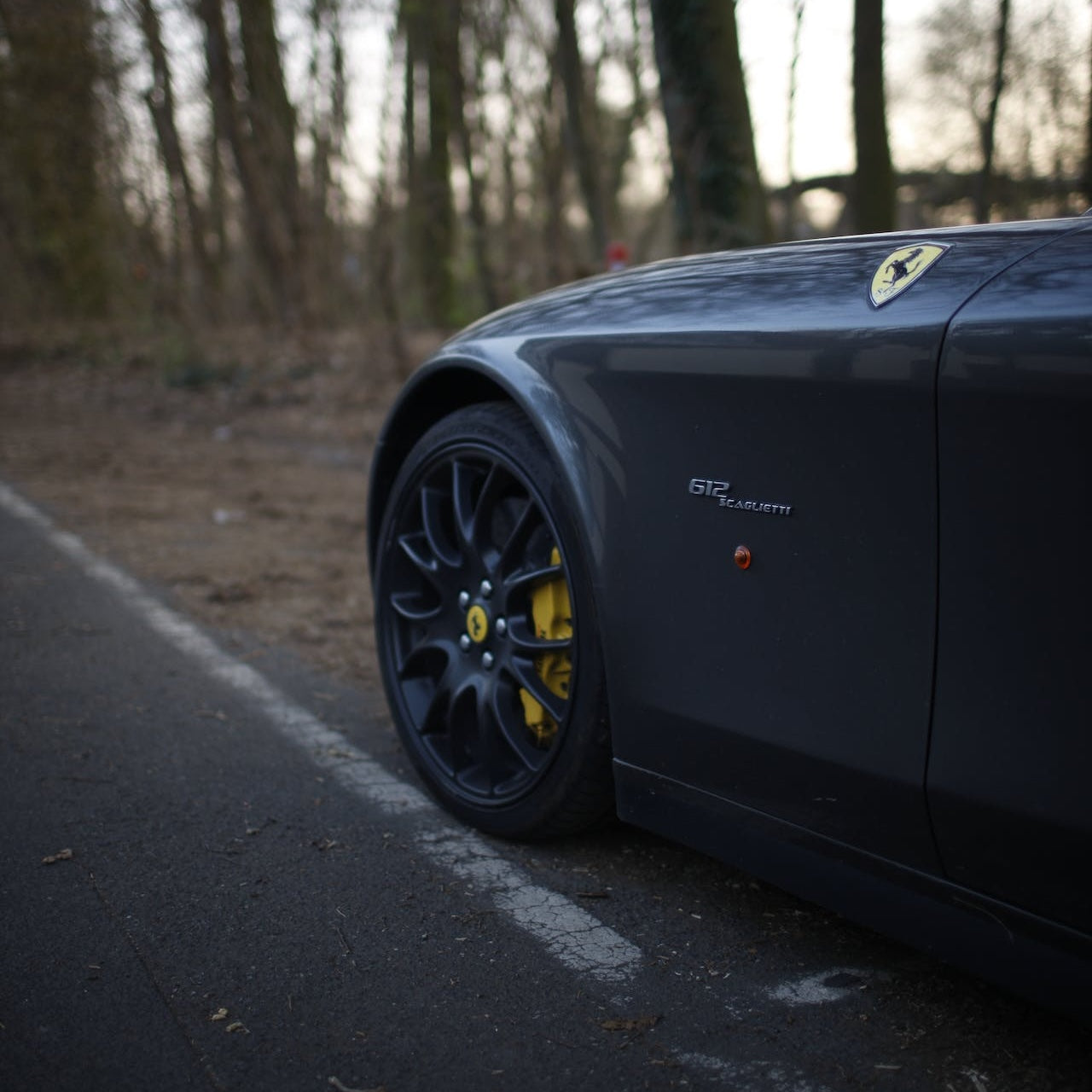 Ferrari 612 Scaglietti Skiträger/-träger