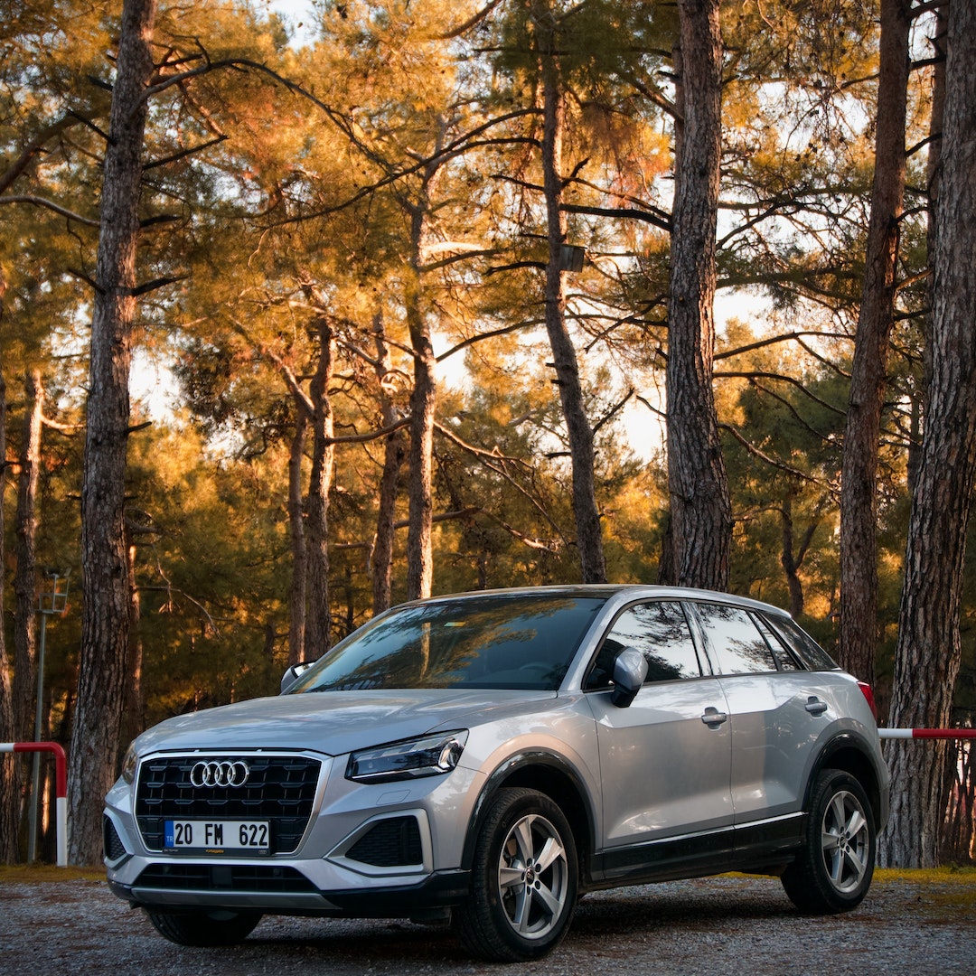 Audi Q2 Skiträger/-halterung