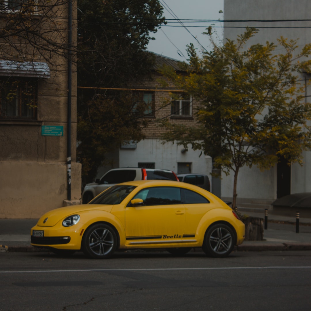 Volkswagen Beetle Ski Rack/Carrier - Mount Evo