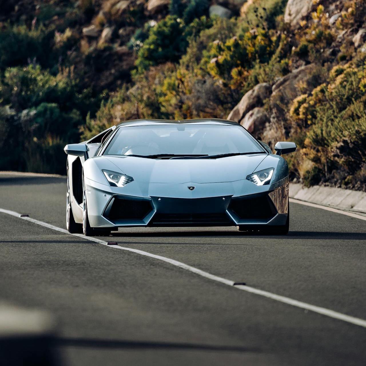 Lamborghini Aventador Bike Rack/Carrier