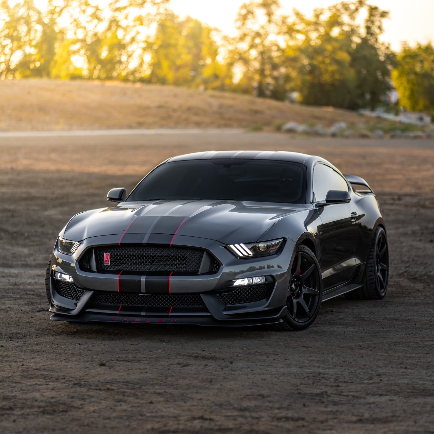 Ford Mustang Fahrradträger