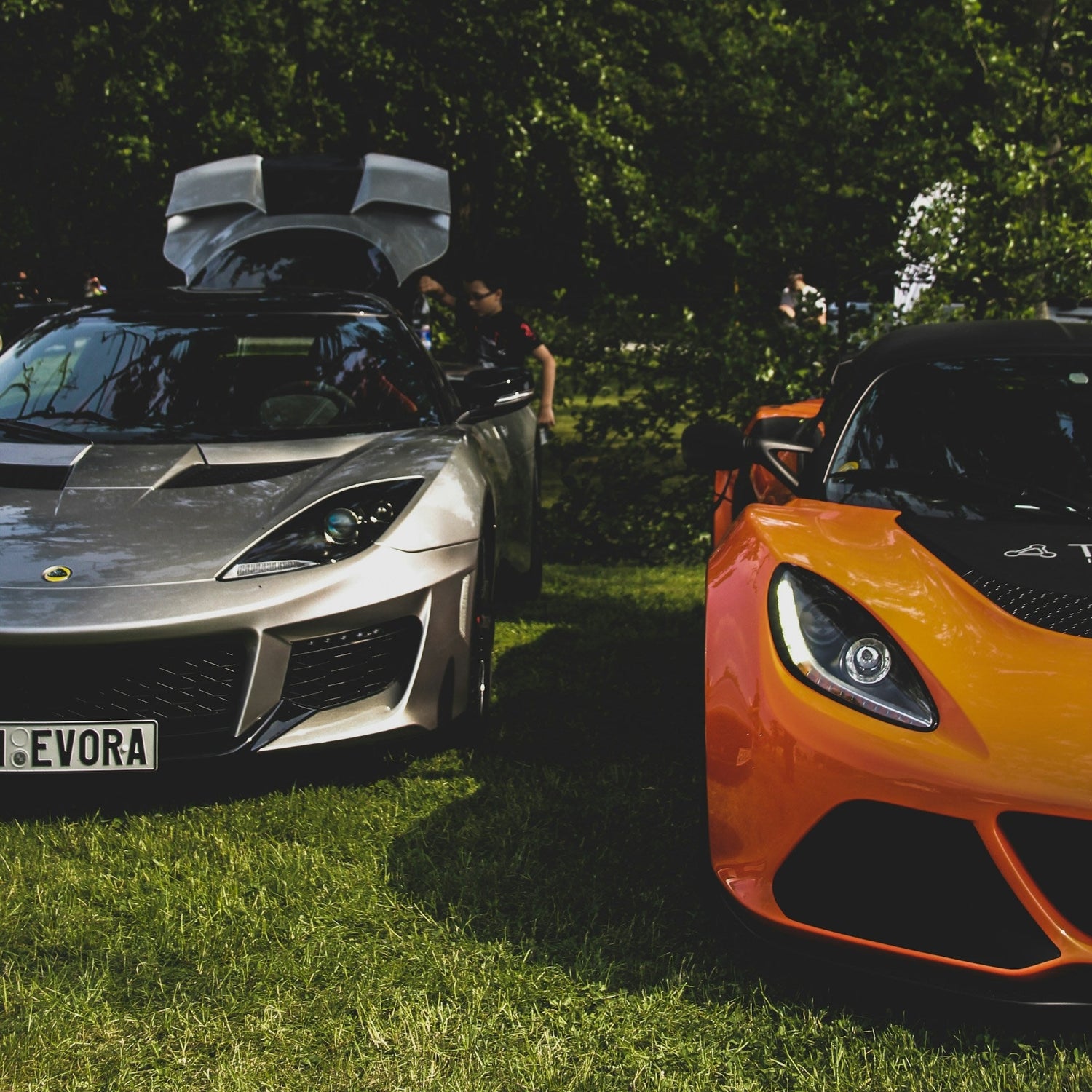 Lotus Evora Ski Rack/Carrier