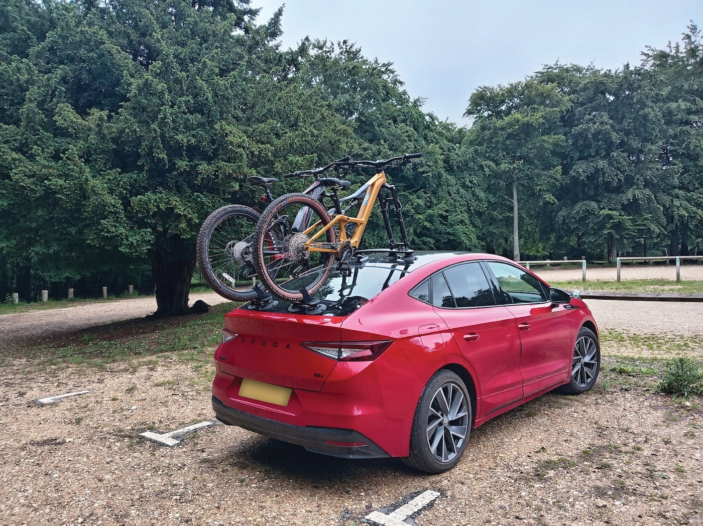 E-Duo Elektrofahrradträger
